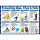 Preventing Slips, Trips and Falls Poster
